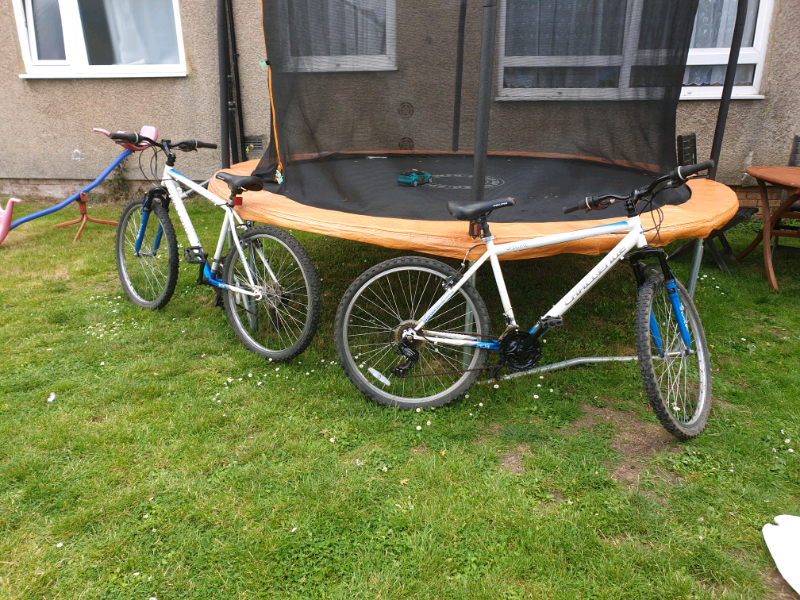 teenage bikes for sale